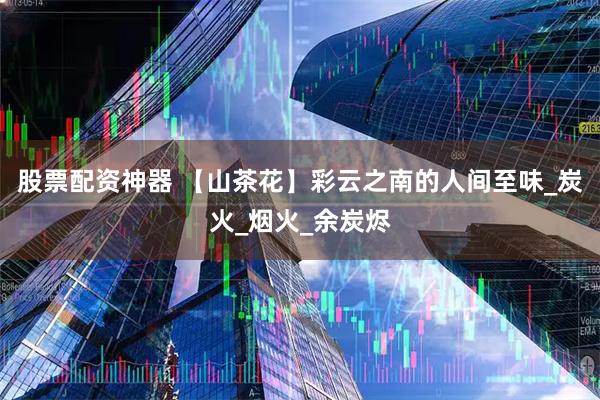 股票配资神器 【山茶花】彩云之南的人间至味_炭火_烟火_余炭烬