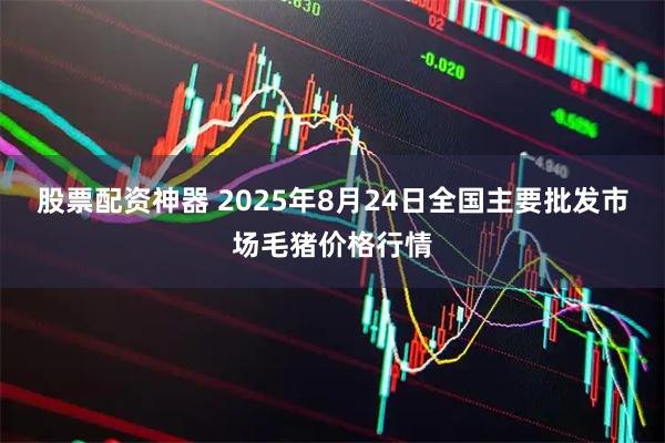 股票配资神器 2025年8月24日全国主要批发市场毛猪价格行情