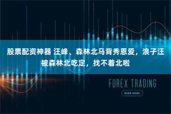 股票配资神器 汪峰、森林北马背秀恩爱，浪子汪被森林北吃定，找不着北啦